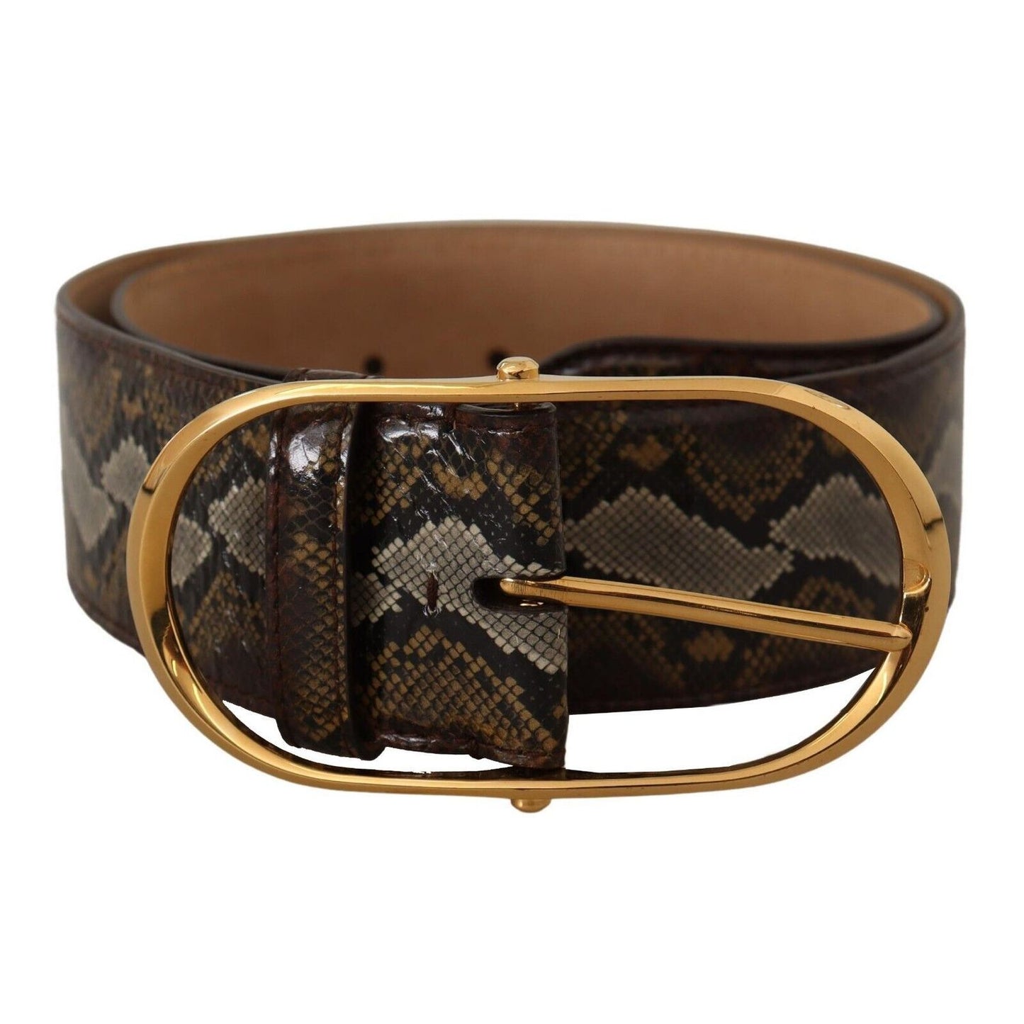 Dolce & Gabbana Brown Python Leather Gold Oval Buckle Belt