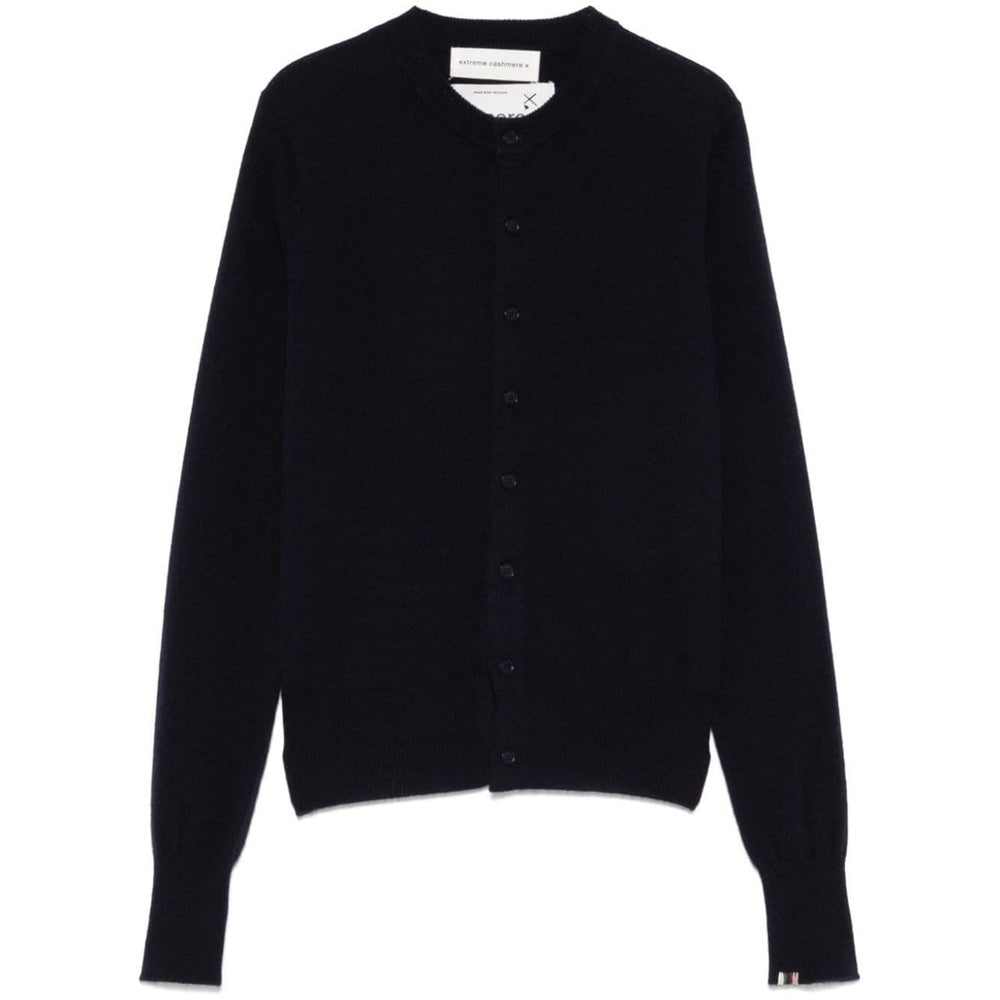 EXTREME CASHMERE Sweaters Blue Topwear