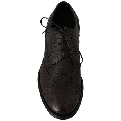 Dolce & Gabbana Brown Leather Wingtip Derby Formal Shoes