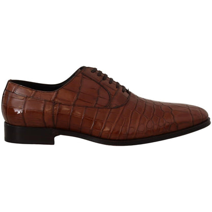 Dolce & Gabbana Brown Crocodile Leather Mens Formal Derby Shoes