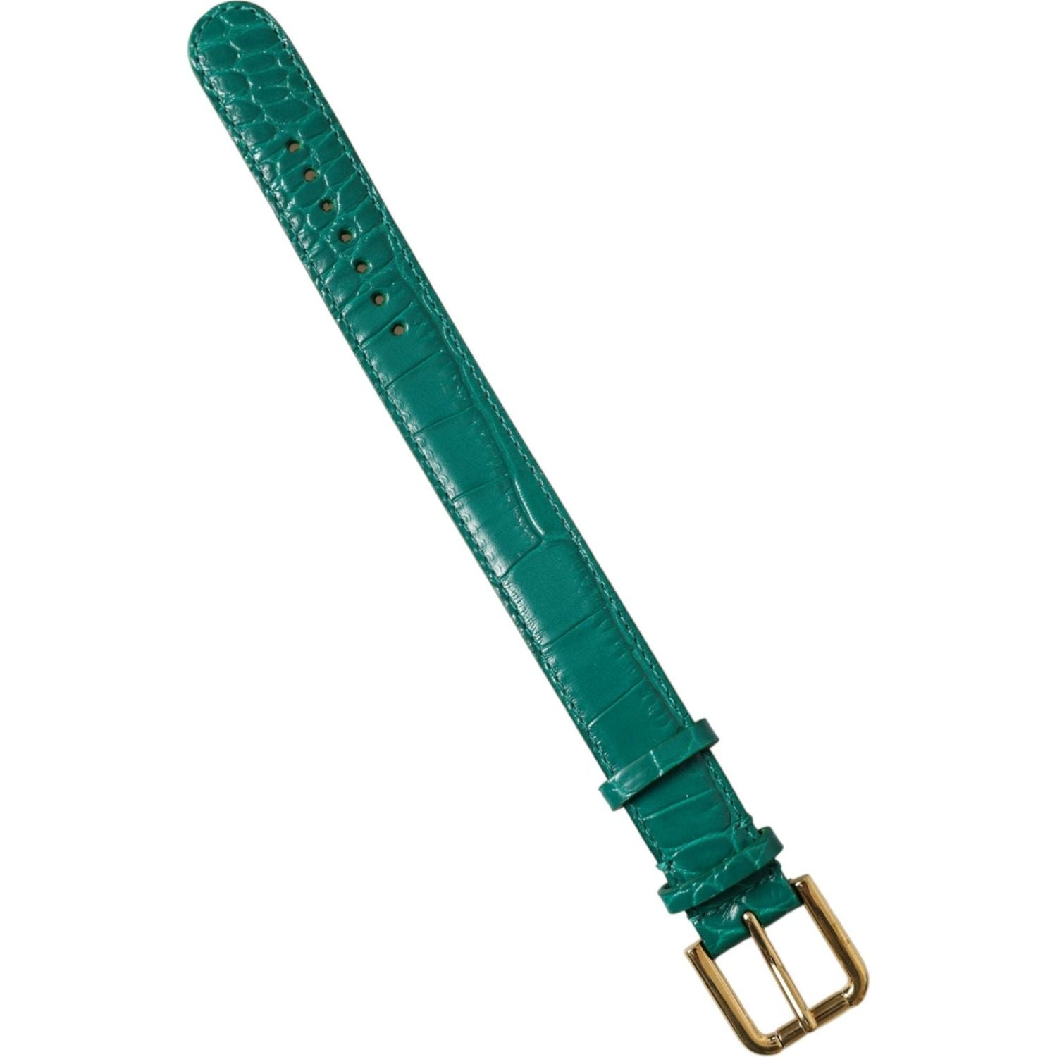 Dolce & Gabbana Green Textured Leather Gold Tone Metal Buckle Neckband