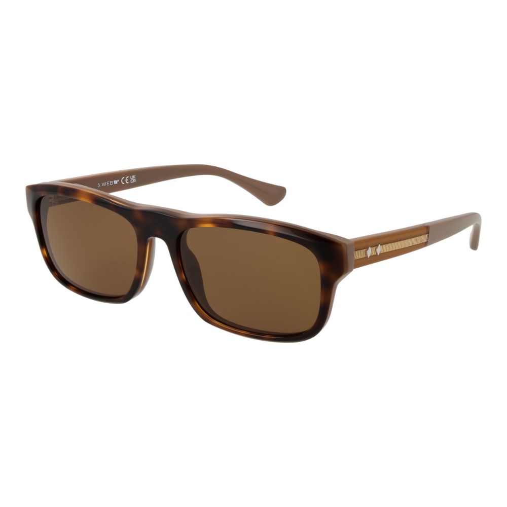 Web Brown Acetate Sunglasses