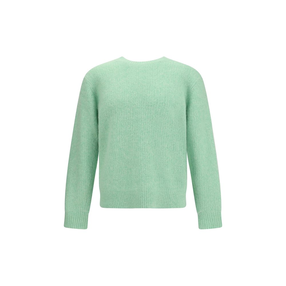 Sunflower Green Alpaca Vicugna Pacos Sweatshirt