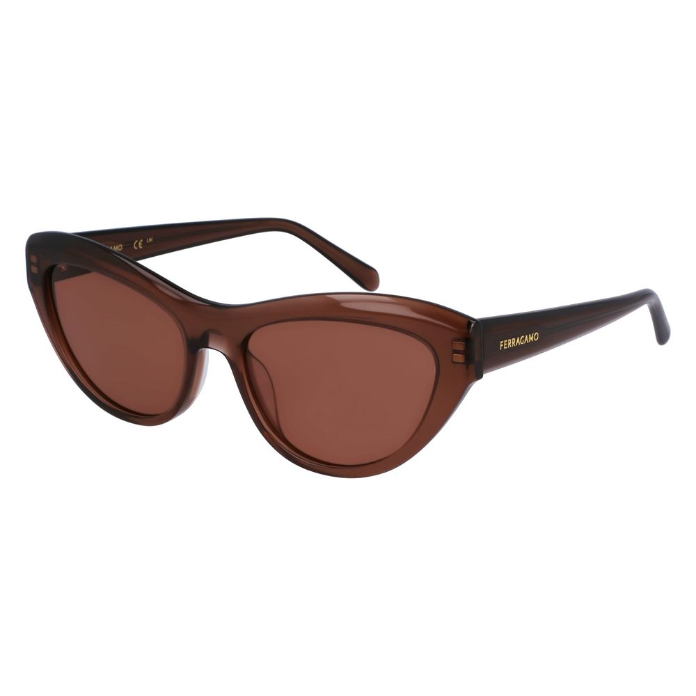 Ferragamo Brown Acetate Sunglasses