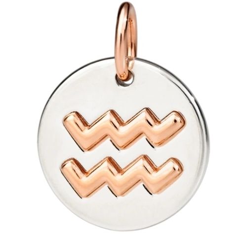 CHARMS DODO MOD. DMC2012ZODAC0009A - Zodiac charm with rose gold Aquarius symbol on silver background.