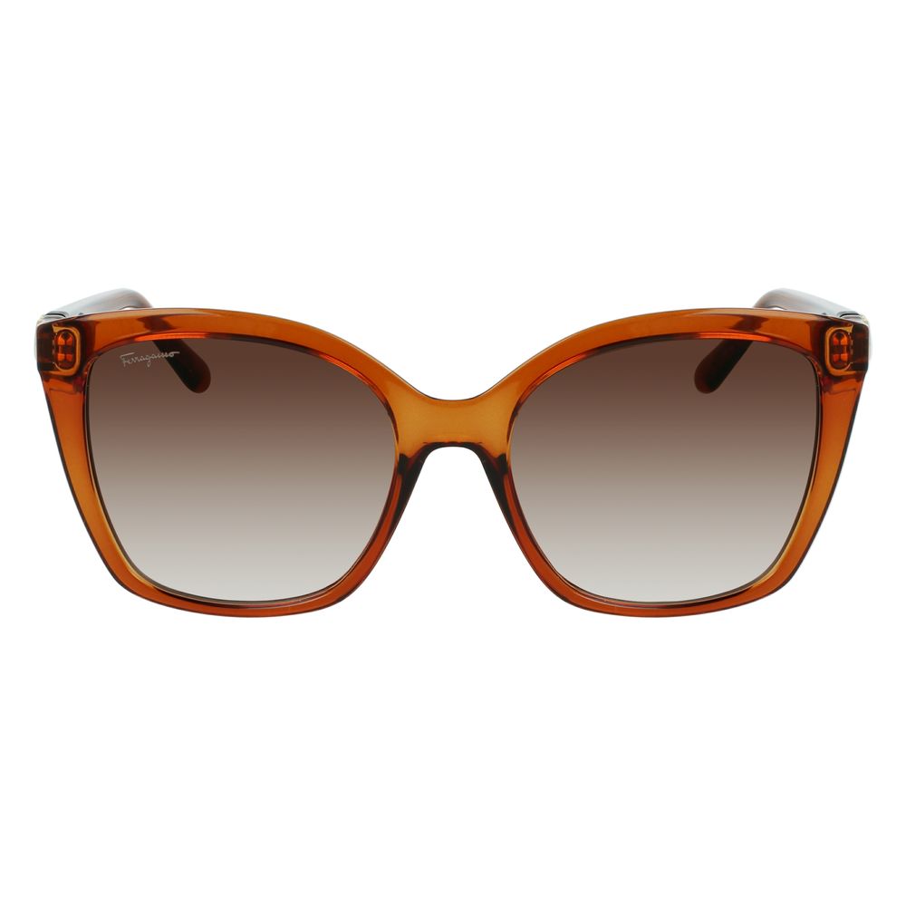 Ferragamo Brown Injected Sunglasses 1728,67434610848,Accessories,Brown,Ferragamo,Glasses and Sunglasses - Accessories,New with tags,Sunglasses - Glasses and Sunglasses - Accessories,Women