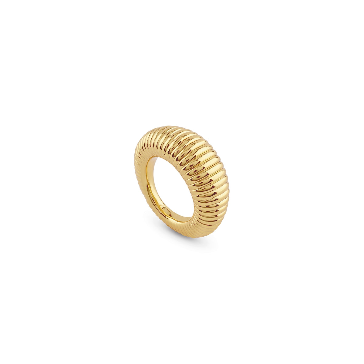Mod. JUBR05336JWYG54