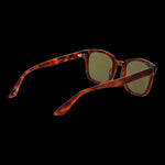 SERENGETI MOD. SS575003 ETHAN SUNGLASSES & EYEWEAR