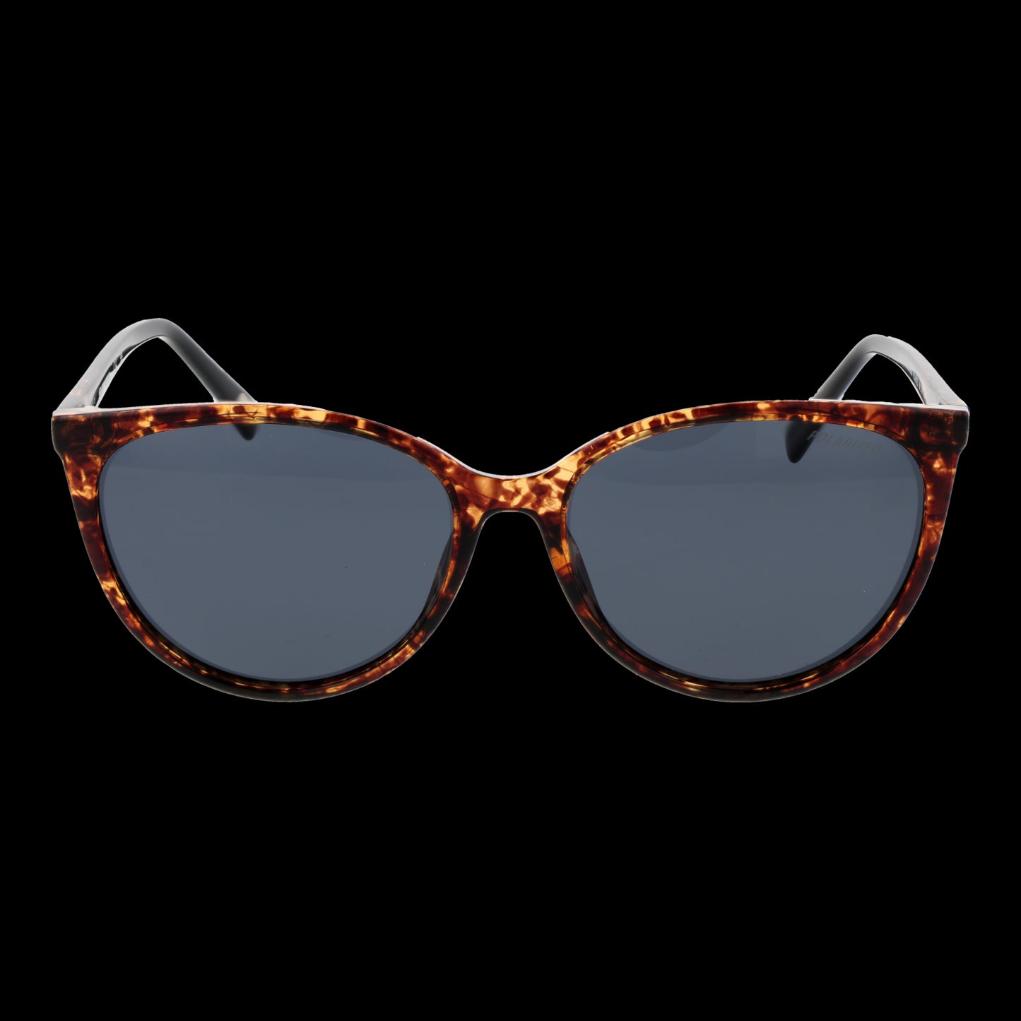 SKECHERS MOD. SE6169 5656D SUNGLASSES & EYEWEAR