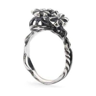 TROLLBEADS Mod. TAGRI-00304