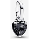 PANDORA JEWELRY Mod. 793042C01 Charms & Pendants